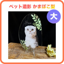 ペット遺影_愛猫_かまぼこ型アクリルプ