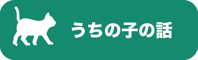 バナー＿メモリアルアクセサリーうちの猫の話