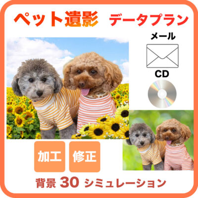 ペット遺影【データ納品プラン】30背景シミュレーション P03
