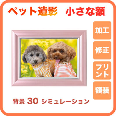 ペット遺影【小さな額】30背景シミュレーション P02