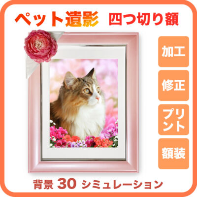 ペット遺影_四つ切り額プラン_1枚