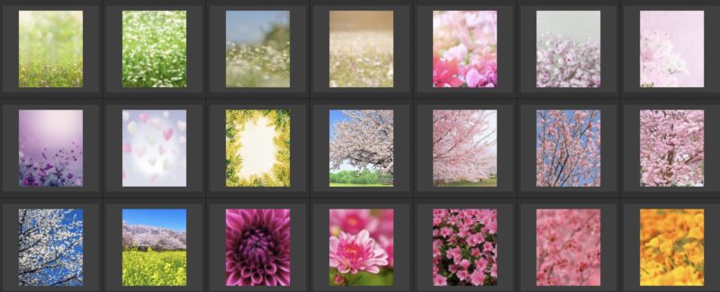 100種類の遺影背景